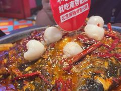 -南锣肥猫·麻辣烤鱼·15年现烤现卖(通州领展店)