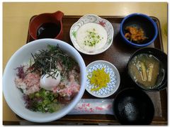 螃蟹山药泥丼-鳥取砂丘会館