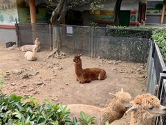 -无锡动物园·太湖欢乐园