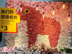 -宜家·瑞典风味餐厅(武汉荟聚中心店)