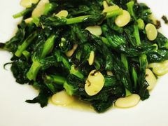 翅汤菜苗-悦湖公馆