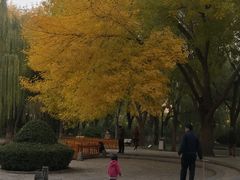 -玲珑塔公园