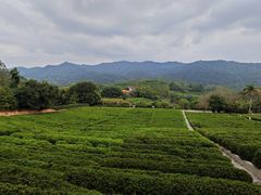 -老客家·客家菜(万达店)