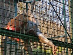 -南京金牛湖风景区