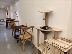 -猫友咖啡店(玉林西路店)