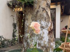 -鲤院·新中式美学·庭院餐厅(夫子庙店)