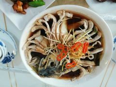 -煲来饱去冷水鱼