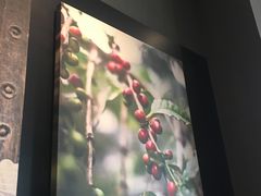 -星巴克臻选(重庆沙坪坝店)