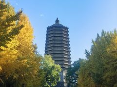 -玲珑塔公园