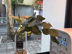 -常识咖啡common sense(春熙路店)