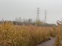 -永定河休闲森林公园