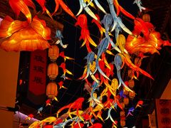 -花博汇(知音花月夜)