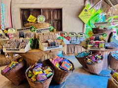 -大象粑粑造纸公园