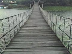 -荷塘月色湿地公园·向阳花洲