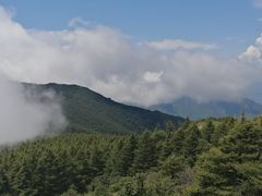 -白草畔自然风景区