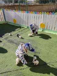 -萌宠亲子动物乐园(槐房万达店)