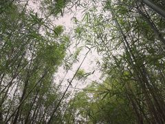 -东部华侨城