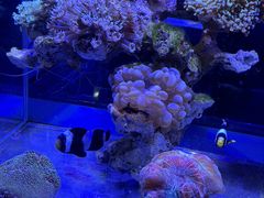 -海合安青岛极地海洋公园