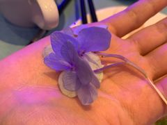 -青岛海尔洲际酒店