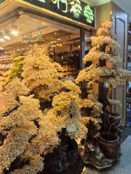 -华林国际玉器城(康王中路)