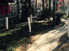 -中央音乐学院歌剧音乐厅