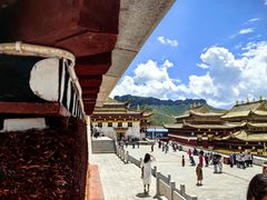 -达仓郎木寺院