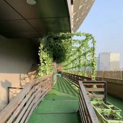-可可天空农场(中大店)