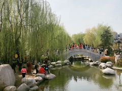 -西安青龙寺遗址景区