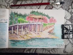 -千岛湖城中湖游船码头