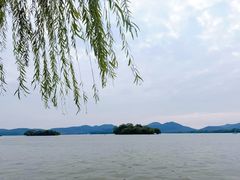 -楼外楼(西湖景区孤山路店)