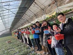-大自然农场蔬菜草莓采摘园