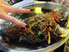 -幸福姐海鲜大排档