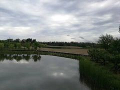 -东郊湿地公园