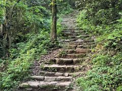 -杭州半山国家森林公园