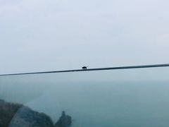 -悬崖咖啡厅