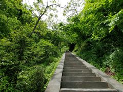 -武当山风景区
