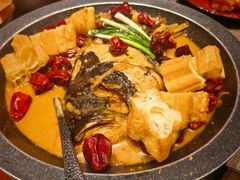 家烧鱼头-青年公社烤鸭(蜀山万象汇店)