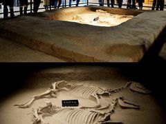 -洛阳周王城天子驾六博物馆