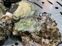 -飞尝蚝·顺德菜·鱼生(顺德总店)