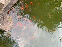 -常熟方塔园