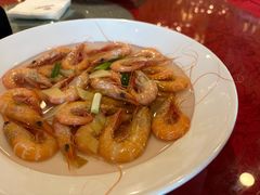 盐水金钩虾-海景苑海鲜大酒店(吕四店)