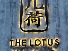 -几荷·恰似故人来(秀水广场店)