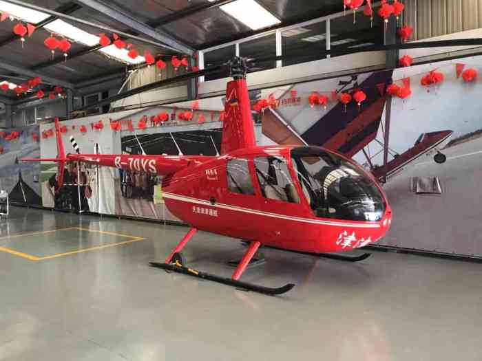 天津滨海窦庄通用机场-"emmm,陪女朋友来跳伞的,她的胆子大,.