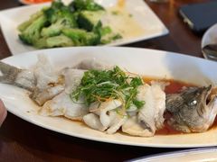 港式水沾鲈鱼-皇后餐厅-煲仔·小菜·打边炉(古北店)