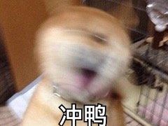 -喜茶(永旺梦乐城店)