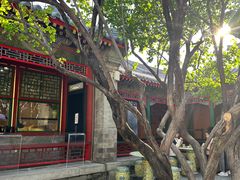 -宫事颐庭·老佛爷贵寿下午茶(颐和园店)