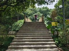 -晓港公园