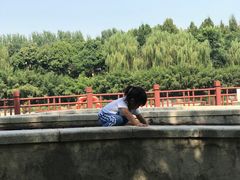 -西安汉城湖景区