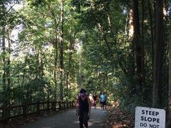 -武吉知马自然保护区