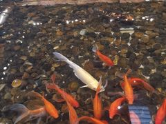 -上海怡沁园度假酒店
